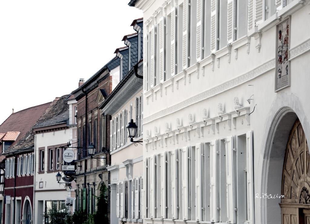 Barengasse Apartments Freinsheim Eksteriør bilde